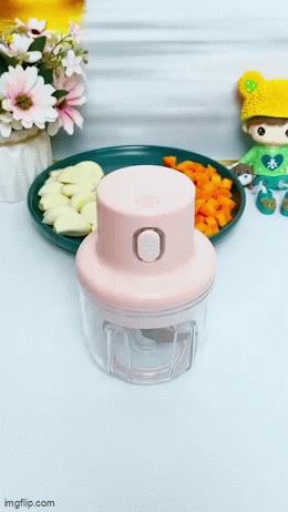 Electric Mini Garlic Chopper 250ml Electric Vegetable Chopper
